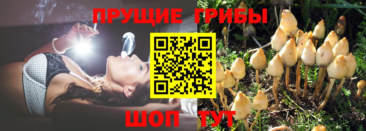 Псилоцибиновые грибы Psilocybine cubensis  Псилоцибиновые грибы MAGIC MUSHROOMS  Вход с VPN  Чита 