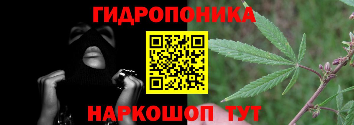 Конопля Bruce Banner  Конопля Bruce Banner  Чита  Вход с VPN  Марихуана гибрид  Шишки марихуана Amnesia 